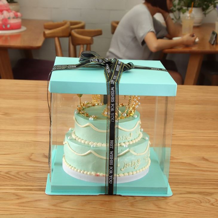 Plastic / Pp / Pvc Packaging Gift Box