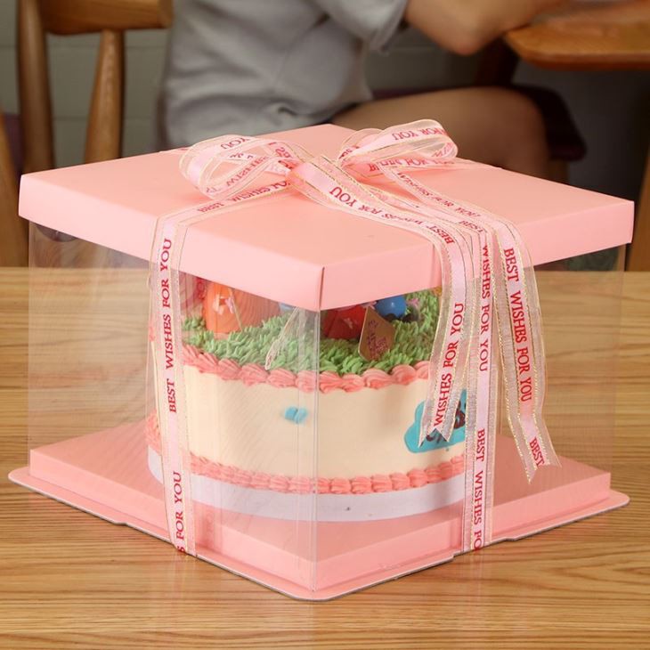 Plastic / Pp / Pvc Packaging Gift Box